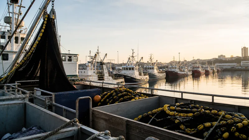 Puerto pesquero genérico preparado para una campaña