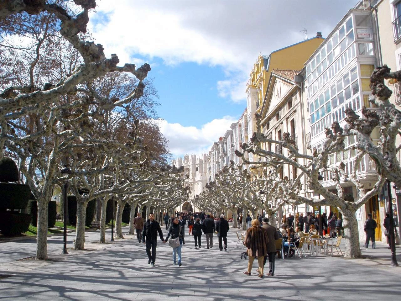 Plátanos sin hoja y peatones en el paseo del Espolón de Burgos