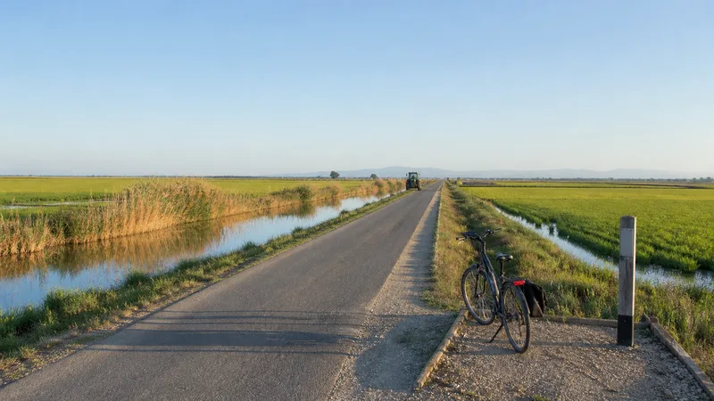 Bicicleta estacionada junto a una carretera, canales y arrozales