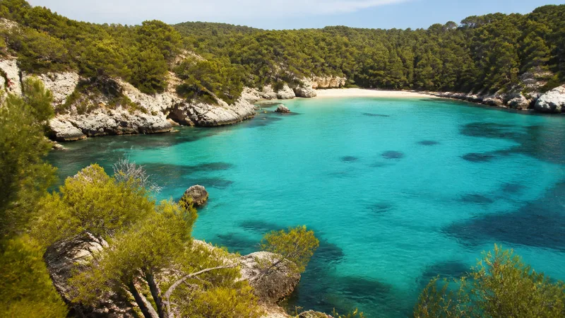 Cala menorquina genérica con agua turquesa y pinar