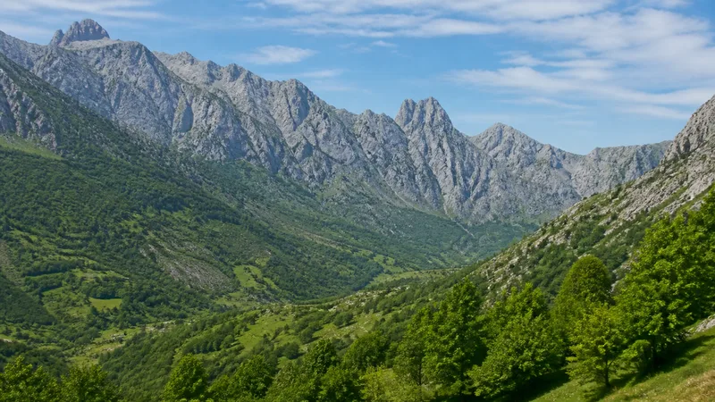 Macizos calizos genéricos sobre un valle verde de Picos de Europa