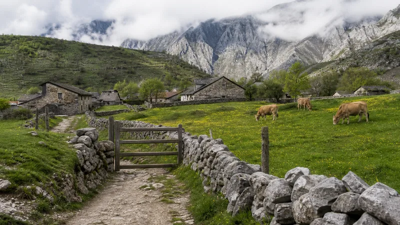 Portilla, prados con vacas y casas de piedra bajo macizos nublados