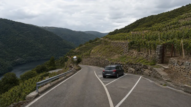 Carretera estrecha y zona marcada de estacionamiento junto a bancales