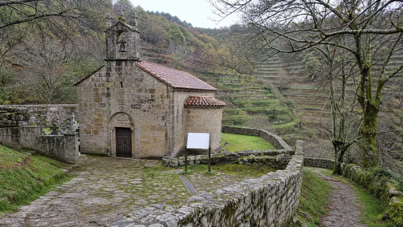 Iglesia rural de piedra entre muros, árboles y bancales