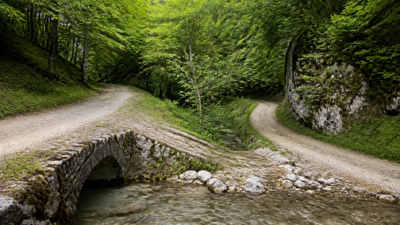 Composición editorial genérica y exclusiva de dos accesos forestales señalizados sin texto ni vehículos; no representa horarios, aforo ni condiciones en tiempo real